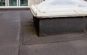 disadvantages of Ham Common flat roofs