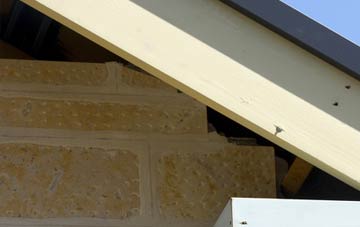 soffit repair Ham Common