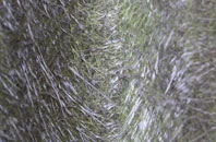 Ham Common fibreglass roof work