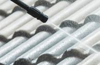 rated Ham Common roof cleaning companies